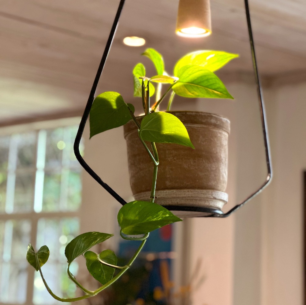 Longonot Ceiling Light