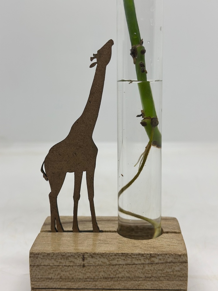 Giraffe Water Prop Stand