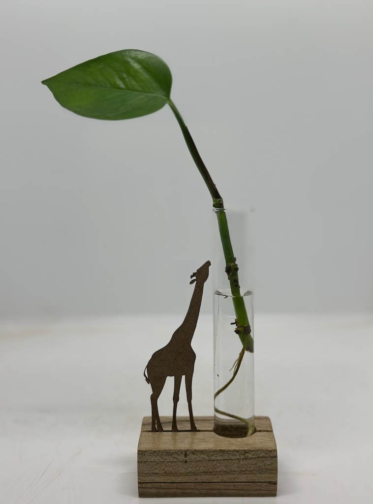 Giraffe Water Prop Stand