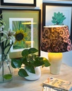 Pansy Kitenge Shade