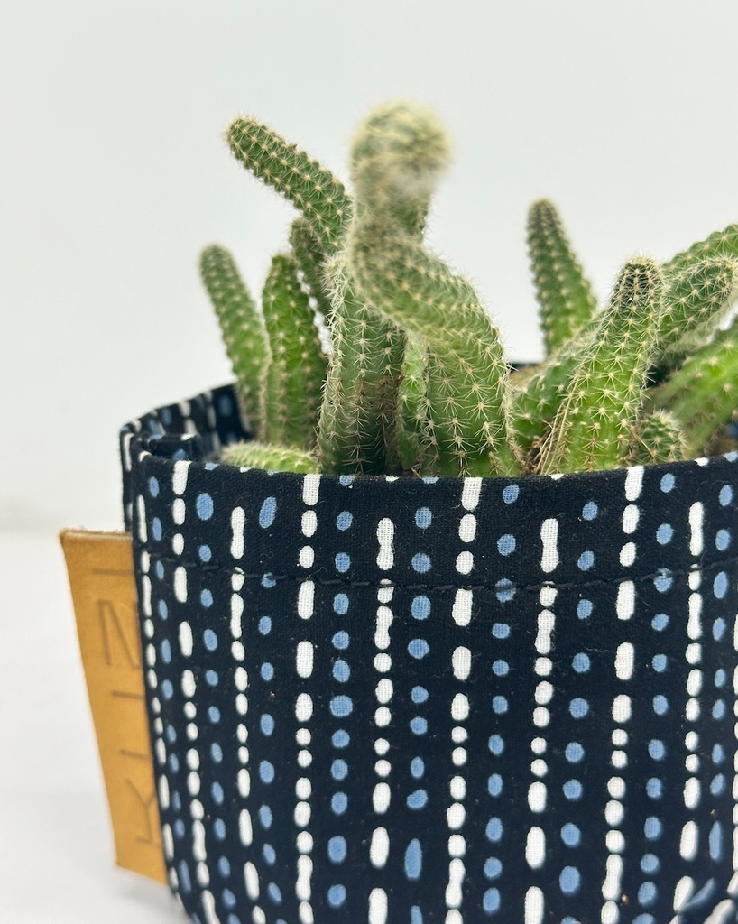 Morse Code Kitenge Planter