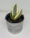 Metal Bucket Size 2