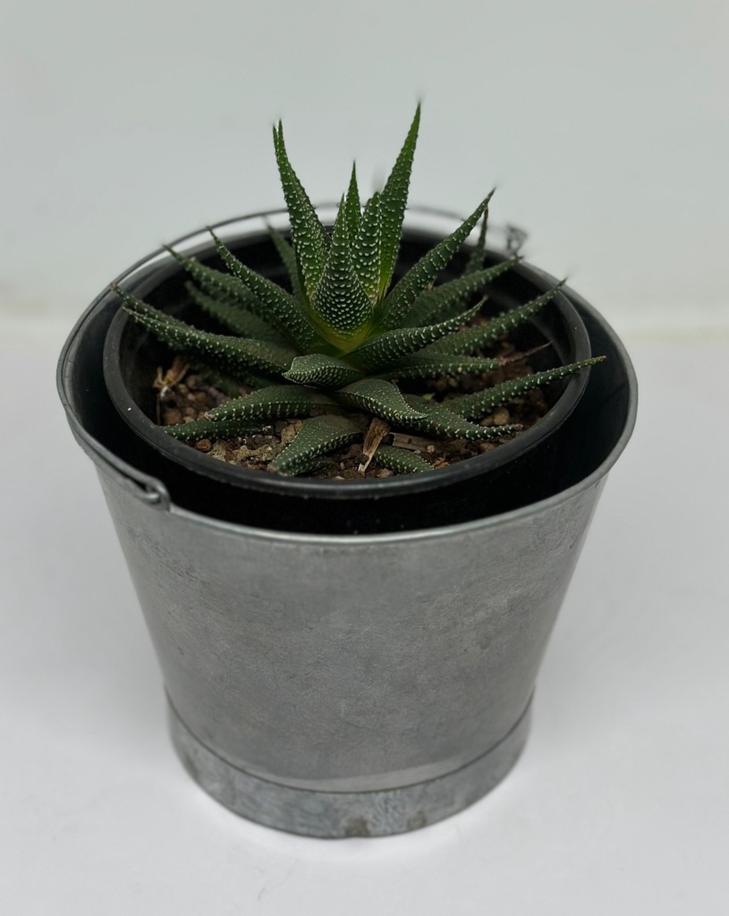 Metal Bucket Size 2