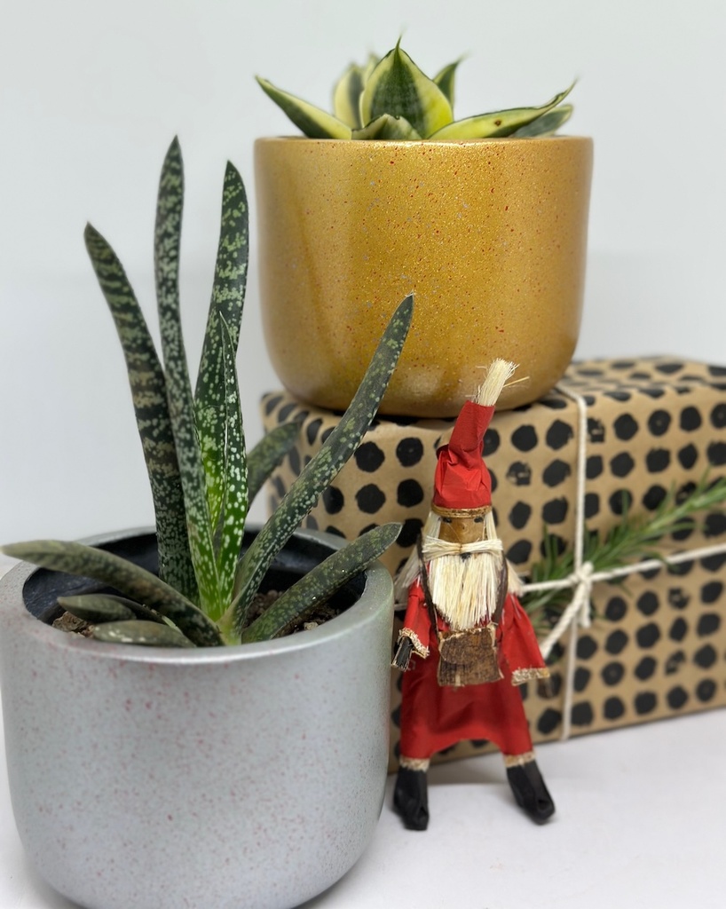 Silver & Gold Fibreglass Pots (Limited Edition)