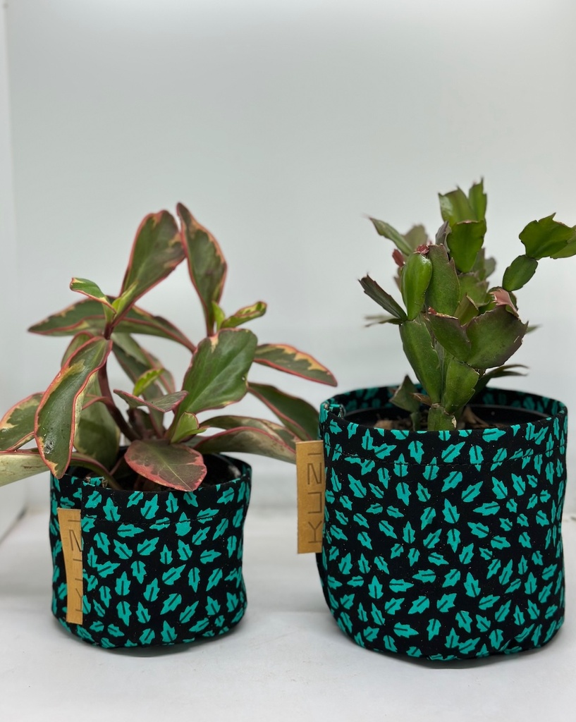 Holly Leaf Kitenge Planter