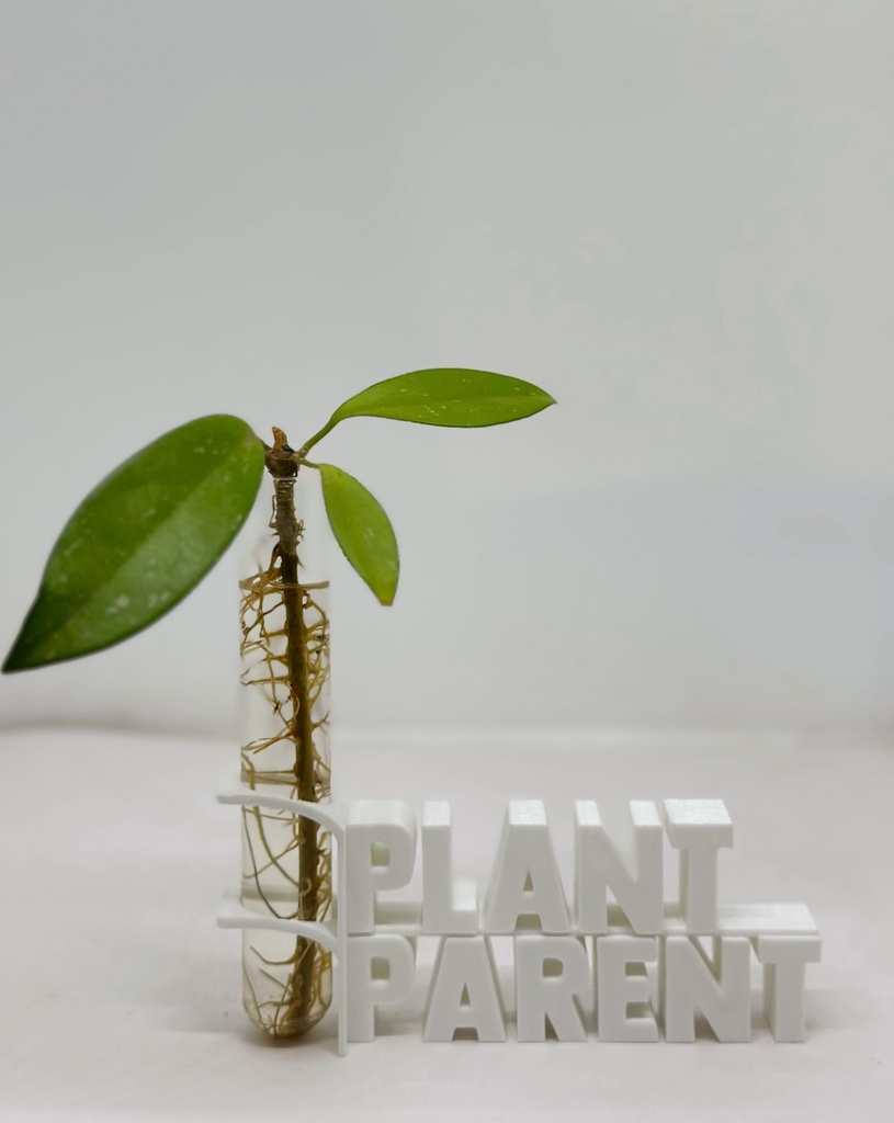 Plant Parent Propagation Holder
