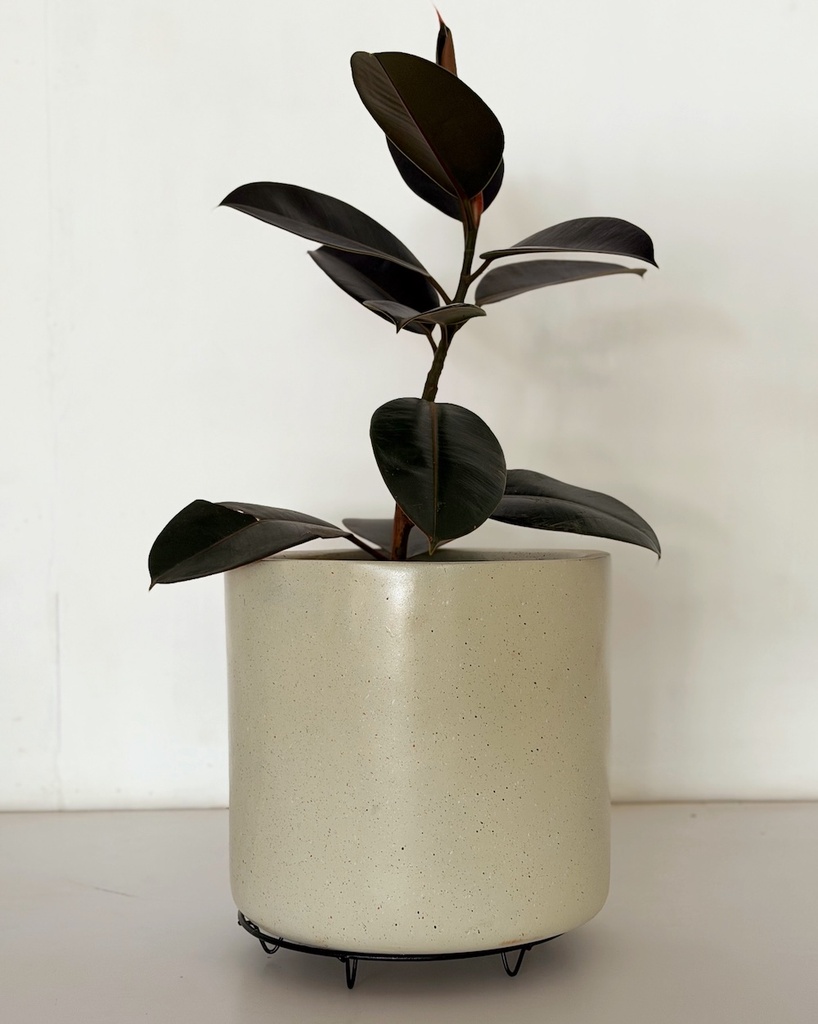 Low Metal Plant Stand