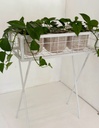 Orion Planter