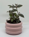 Zuri Pot