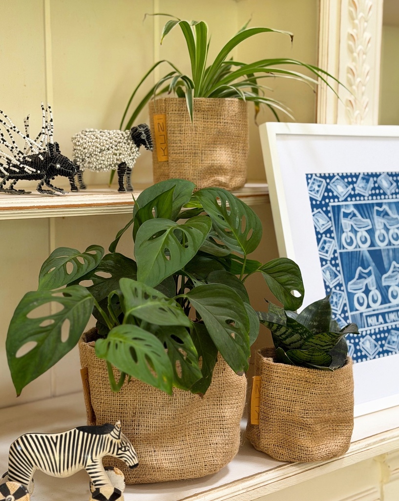 Home / Office Bundle (without pots)