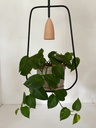 Longonot Ceiling Light