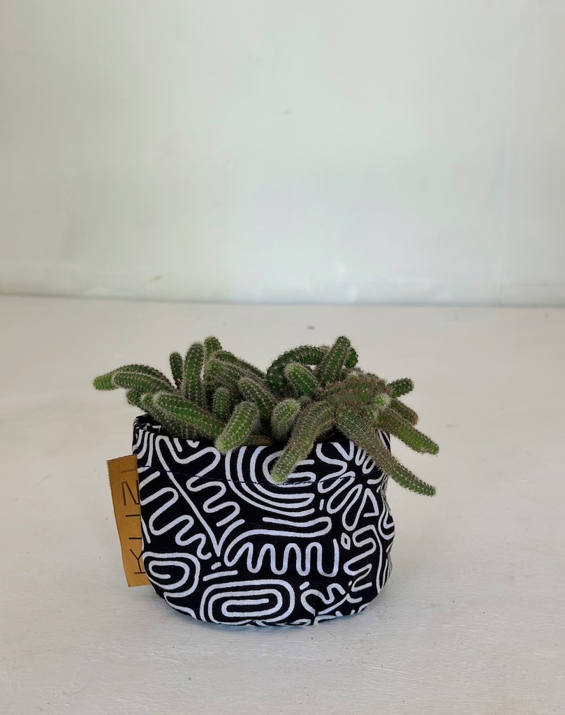 Doodle with plant