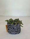 Doodle with plant