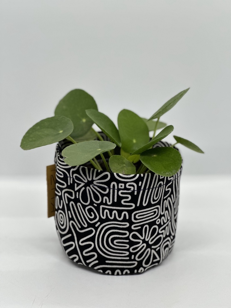 Doodle Size 4