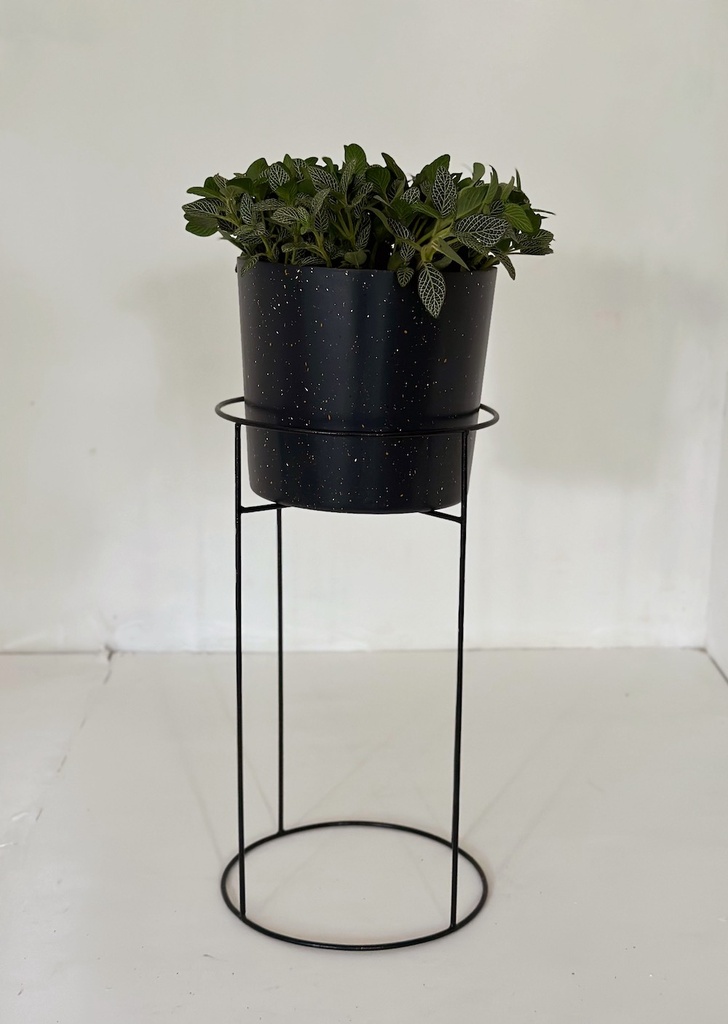 Metal Stand - PiliPili