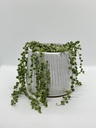 Sandy Pot