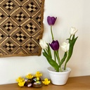 Ikebana One 