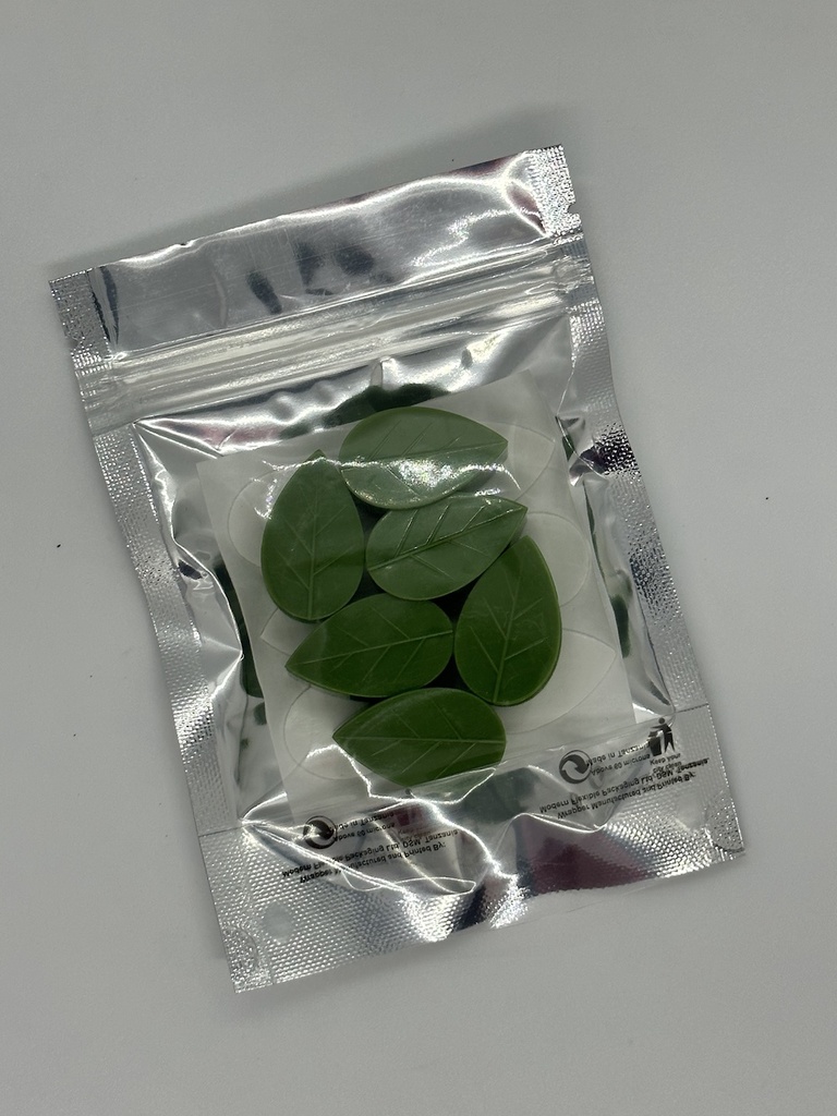 Decorative Plant Anchors (pack of 6)