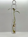 Hydra Water Prop / Bud Vase