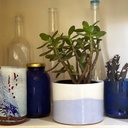 Takwa Pot