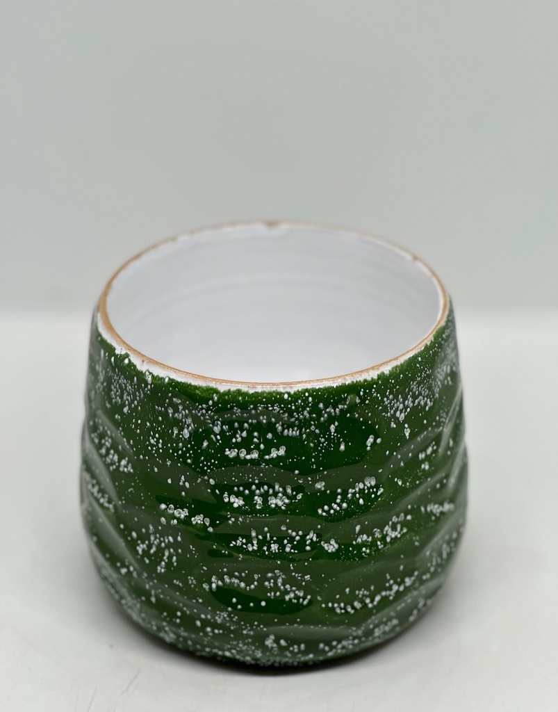 Rosa Pot 