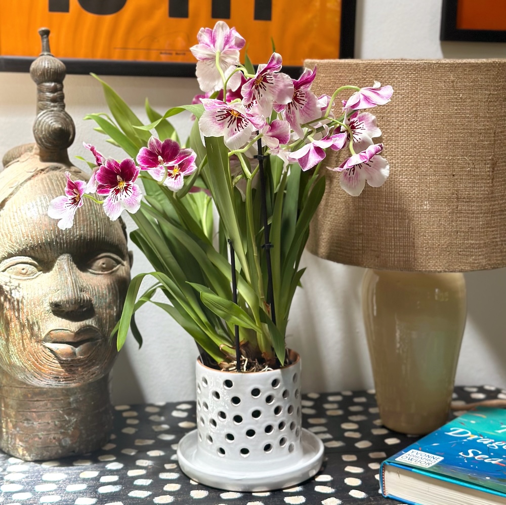 Heather Orchid Pot