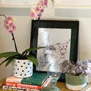 Rajul Orchid Pot