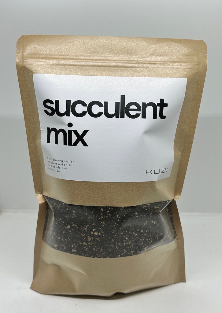 Succulent Mix
