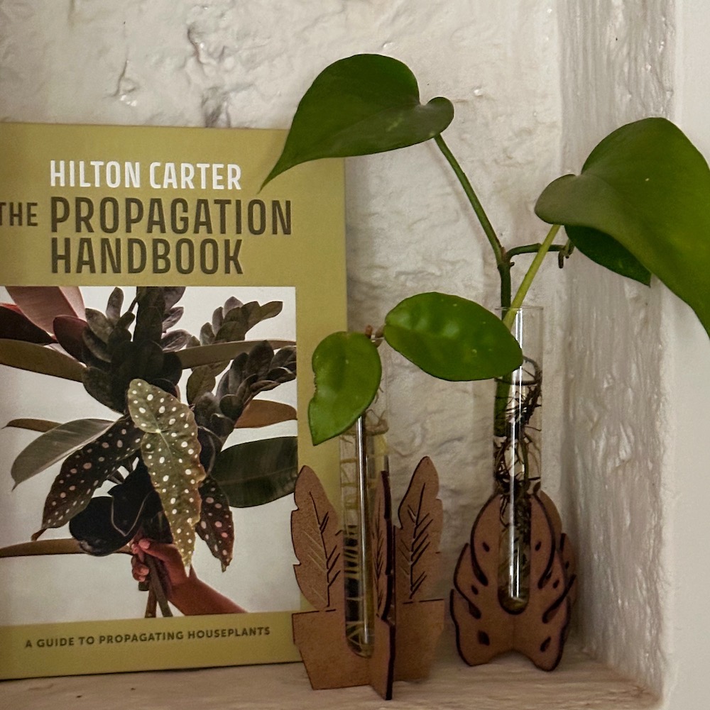 Strelitzia Prop Vase