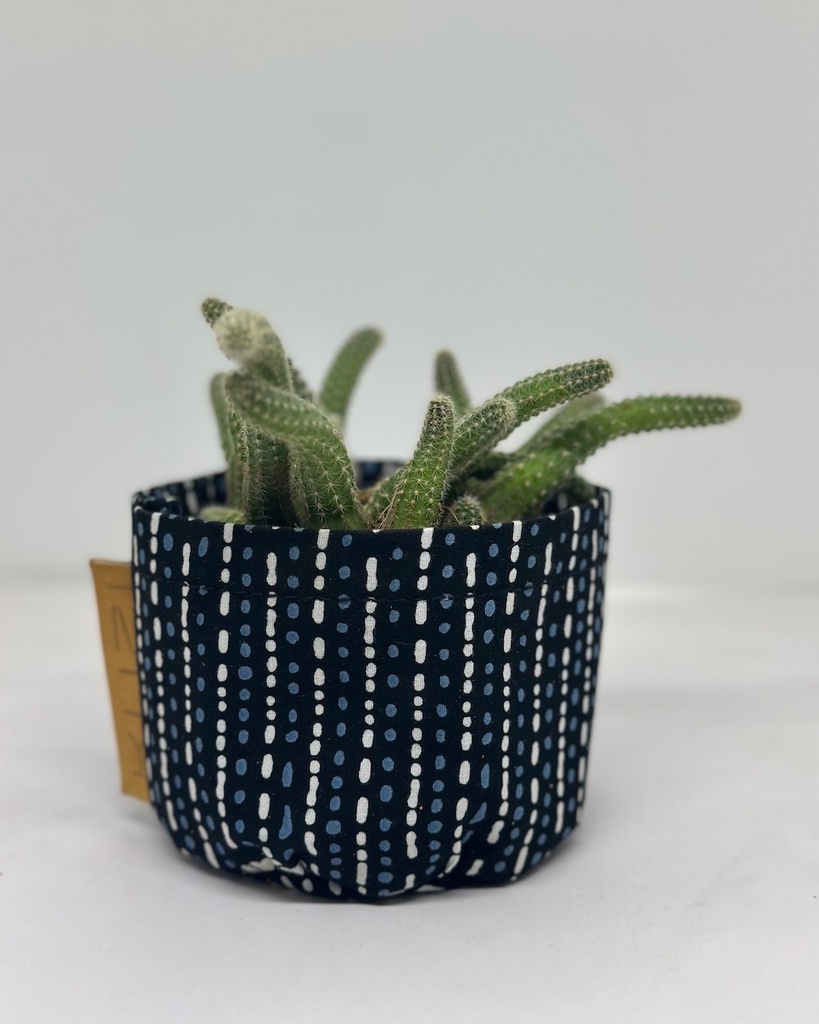 Morse Code Kitenge Planter