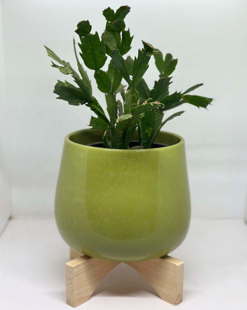 Easy Stand for Size 2 to 5 Pots