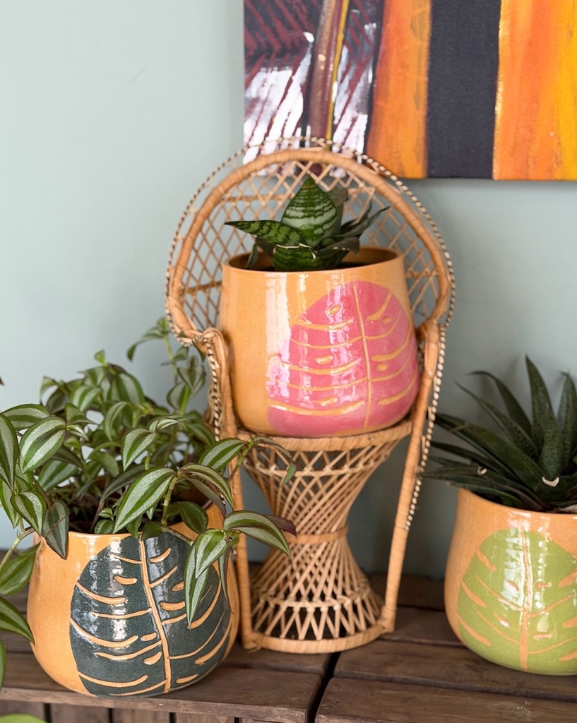 Monstera Pot