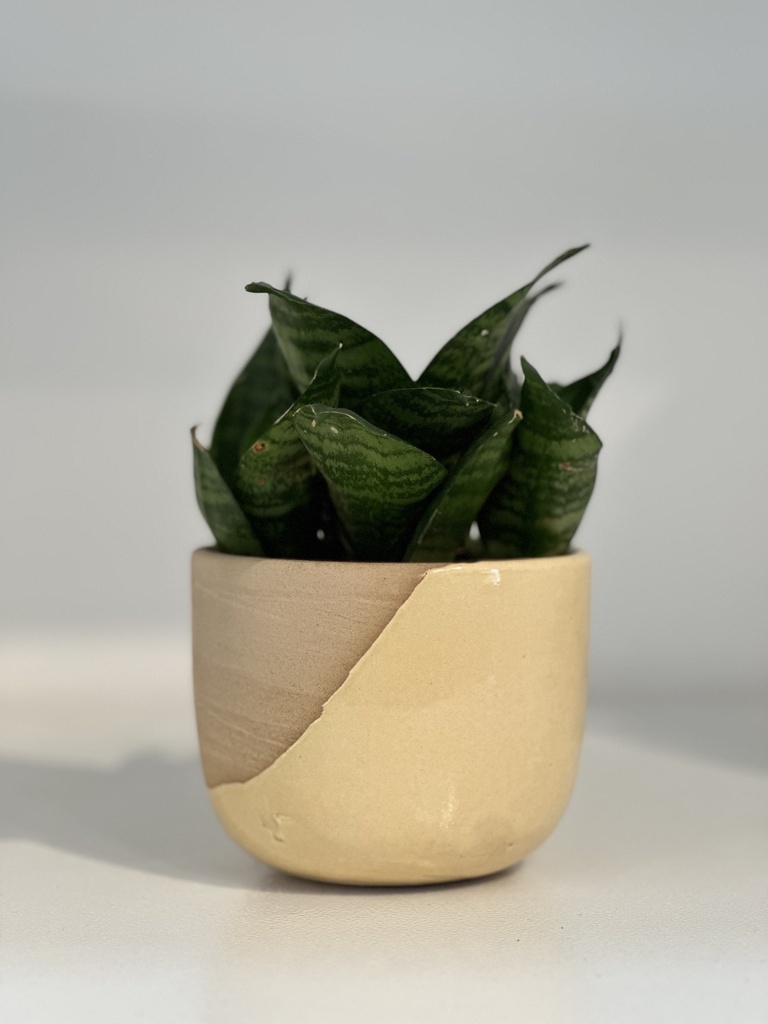 Sam Pot