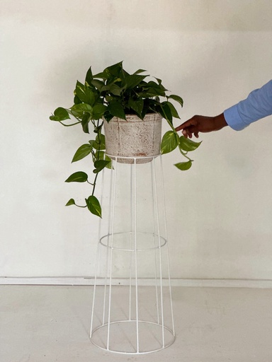 Vela Stand & Pot 'Tall'
