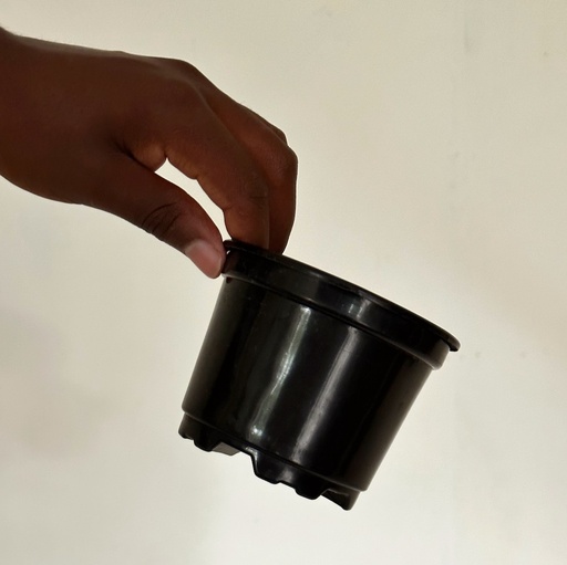 Grow Pot Size 2