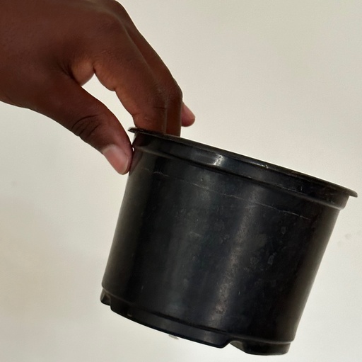 Grow Pot Size 3