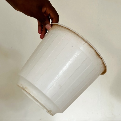 Grow Pot Size 6