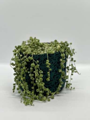 Leafy Forest Kitenge Planter