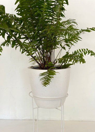 Metal Stand - Valentine / Muffin