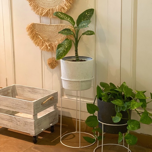 Metal Stand - PiliPili