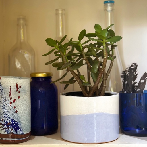 Takwa Pot