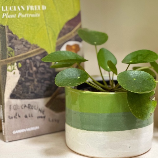 Galana Pot