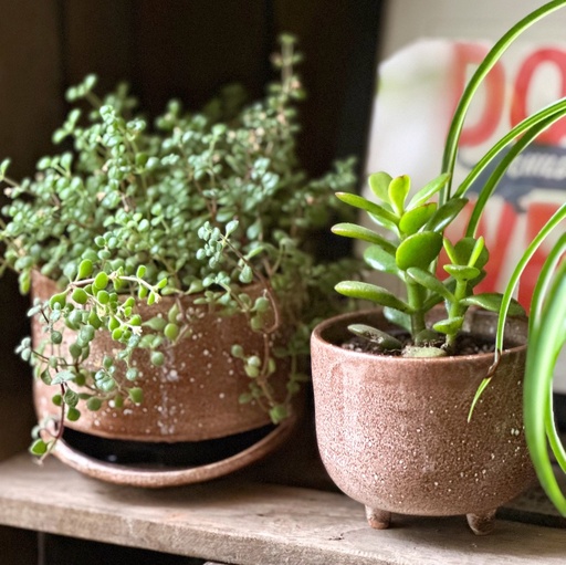 Junior (Size 2) Cappuccino