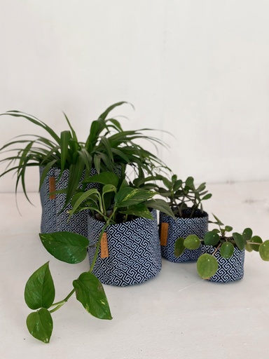 Roman Repeat Kitenge Planter