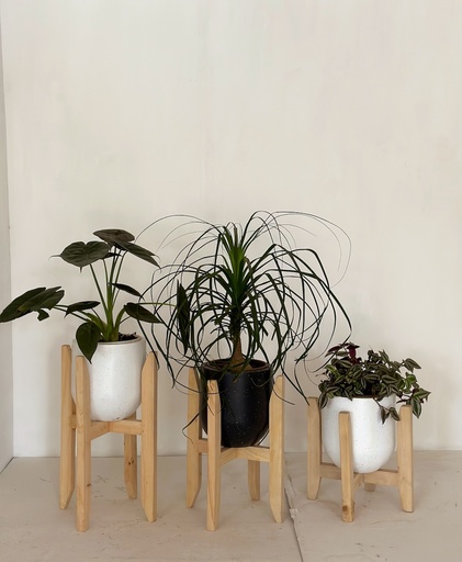 Vikovu Stand in Natural Wood (Size 6)