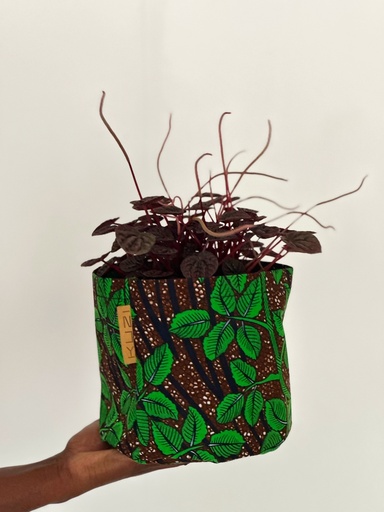 Enchanted Woods Kitenge Planter