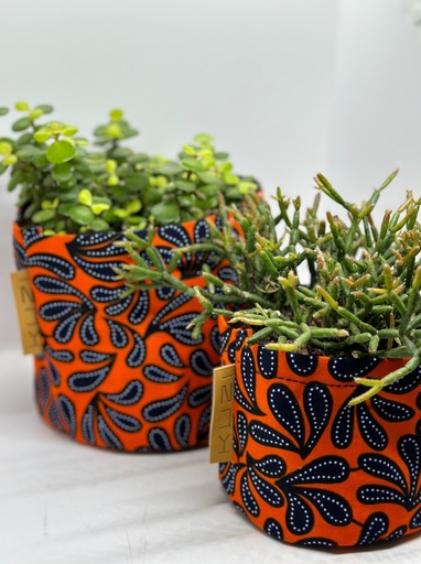 Punky Peacock Kitenge Planter