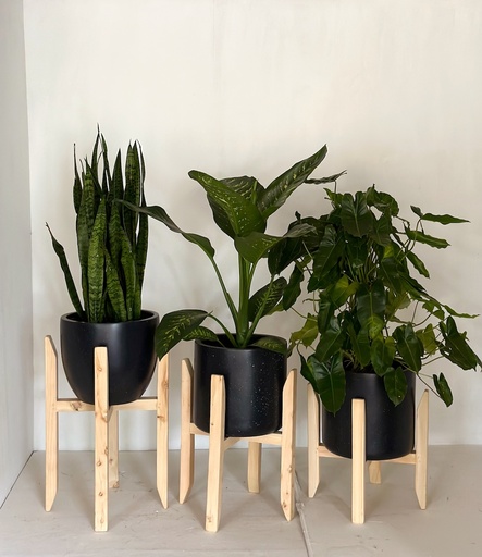 Vikovu Stand in Natural (Size 7) 