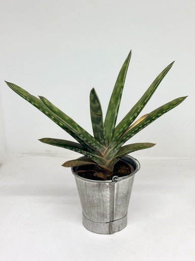 Metal Bucket Size 1