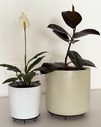 Low Metal Plant Stand